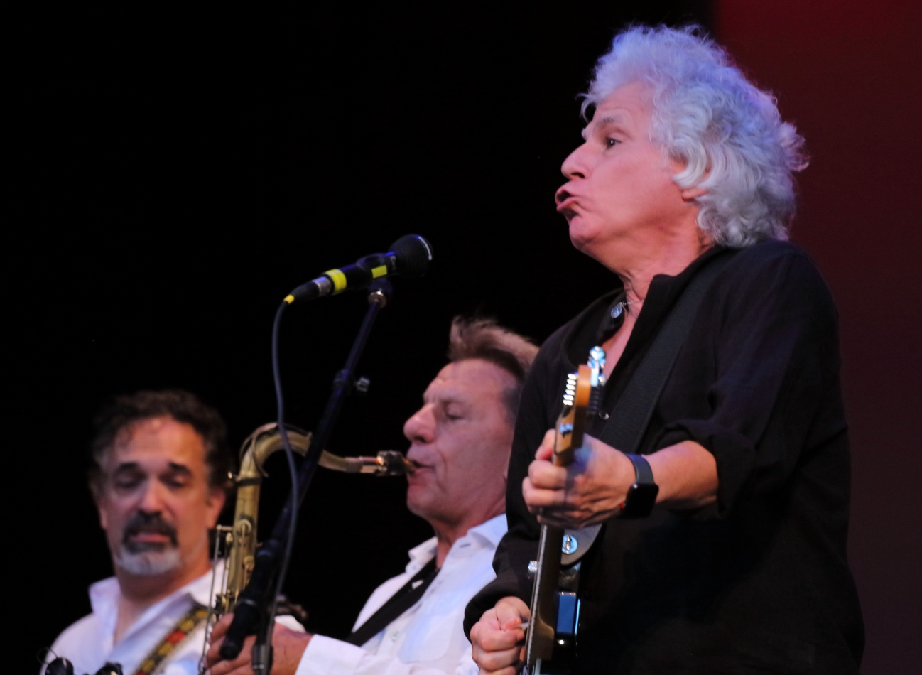 Lords of 52st Street Concert Hecksher Park June 2018
